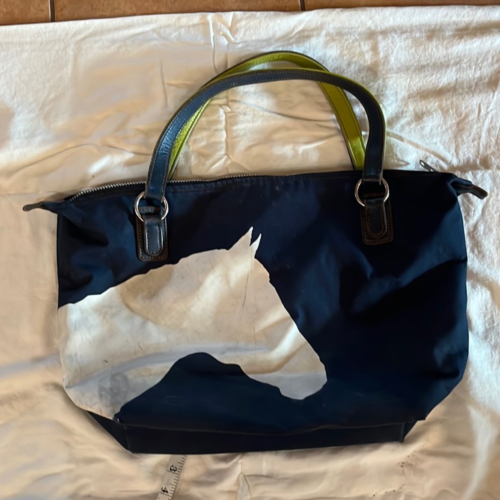 Rebecca Ray bag